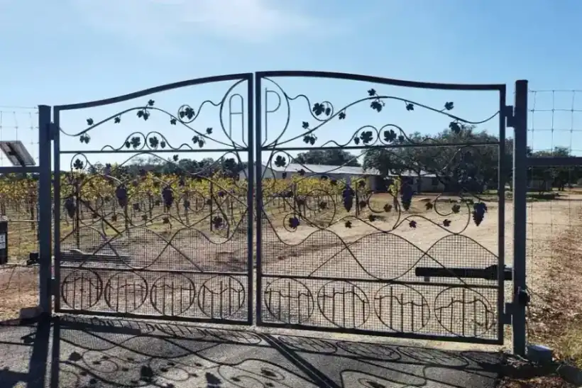 A custom double driveway gate by Aztec Fence and Ornamental Iron, its upper panels filled with hand-scrolled grapevine and grape clusters around an AP monogram roundel, hung at a Texas vineyard