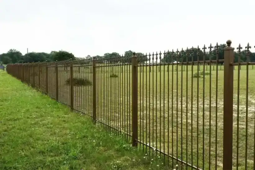 A long bronze fleur-de-lis ornamental iron fence line running across a Texas pasture